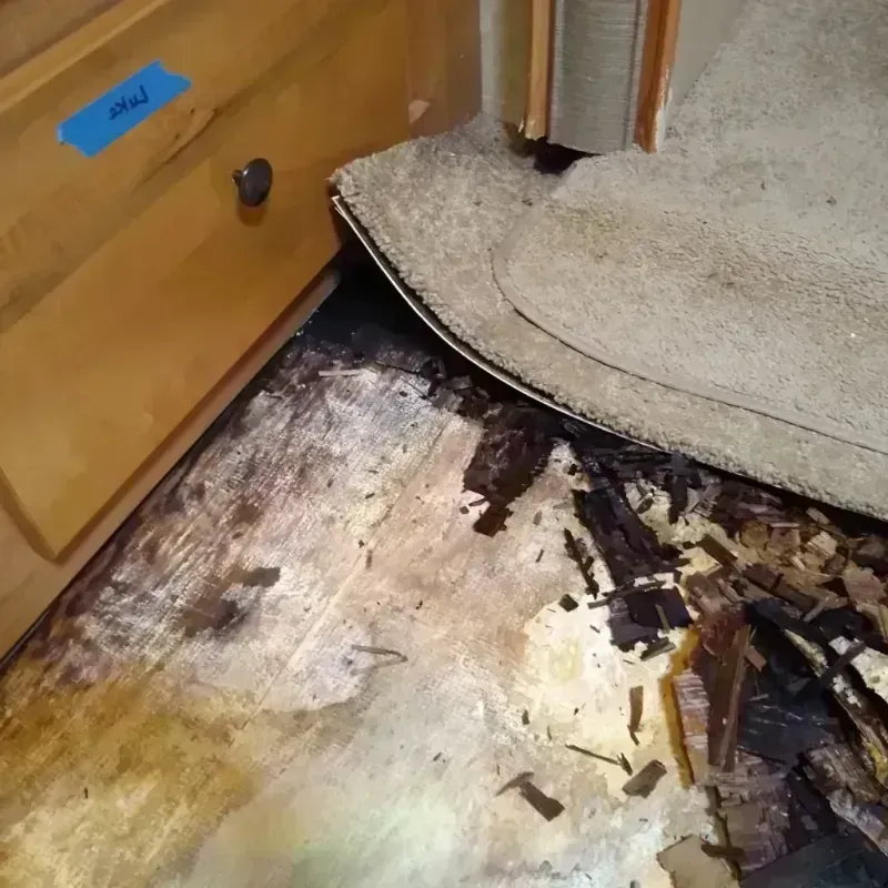 Wood Floor Water Damage in Alpena, MI